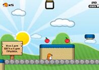 brodilki-s-zhivotnymi